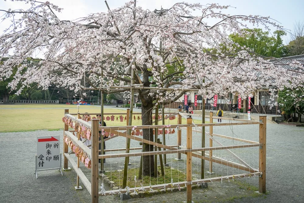 日本福岡縣護國神社完整攻略|御朱印收集與週末跳蚤市場 3 日本福岡-護國神社 護國神社與稻荷神社聯合收集技巧
