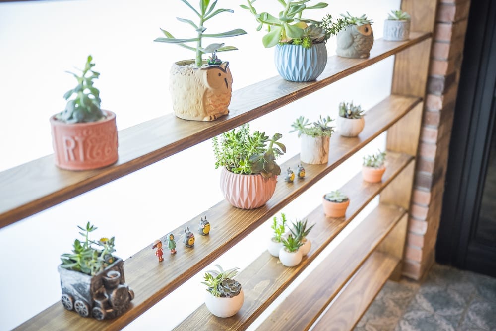 苗栗格拉斯行館｜木架、多肉植物、盆栽、公仔、室內，木質層架上擺放多個造型盆栽與小型多肉植物，點綴著幾尊迷你龍貓公仔，