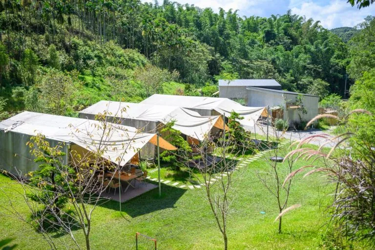 南投葉子秘境｜草地，露營帳篷，遮陽帆布，樹木，建築，山林，戶外。幾座連棟白色帳篷座落於綠色草地上，邊緣擺放桌椅，周