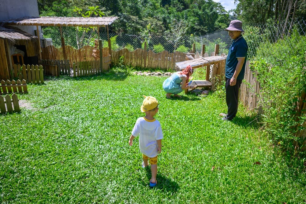 南投葉子祕境 森林豪華露營完整指南|帳篷住宿、螢火蟲步道與寵物友善體驗 11 南投葉子秘境|草地、孩童、男子、女子、木屋、圍籬、山林。戴黃帽男童背對鏡頭站在綠草地上,戴漁夫帽男子與蹲地女子在後