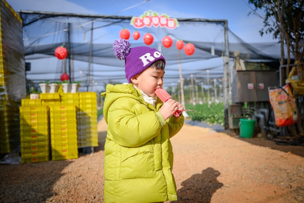 苗栗小巷迷宮草莓園 帶小小孩來要注意這幾件事