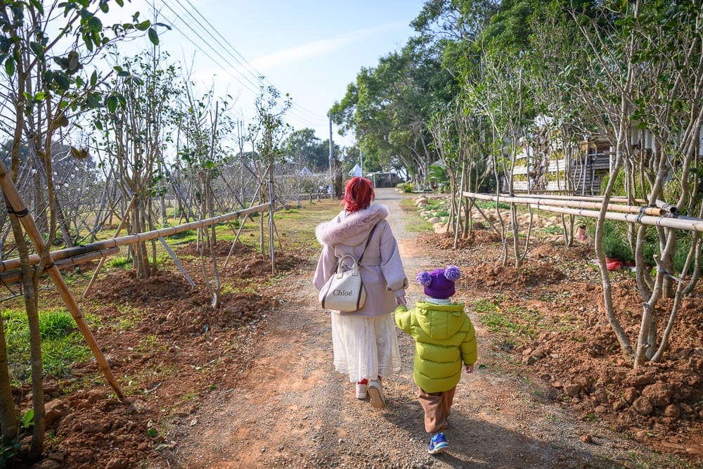 苗栗小巷迷宮草莓園｜婦人與小孩，紅土小徑，細瘦樹木，竹竿支架，遠方綠樹。兩人牽手背對鏡頭，行走於兩側種植幼樹的土路，頭頂