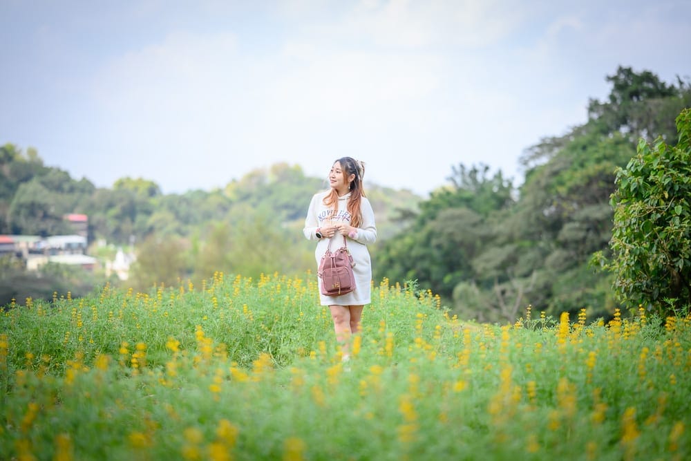 台北樟湖步道魯冰花｜女性、黃花、草地、樹林、山丘、背包，白色長袖上衣，直立於綠草如茵的花叢中，手背在身後，側頭遠望，背景