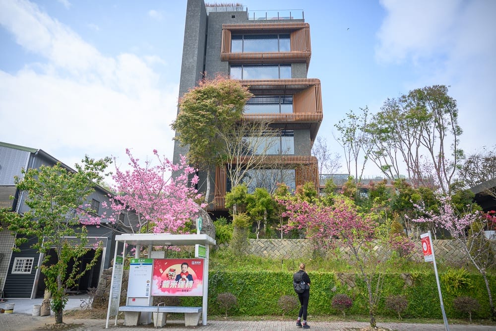 嘉義阿里山英迪格酒店完整攻略|無邊際泳池景觀與服務體驗 9 嘉義英迪格阿里山|現代建築,綠樹,櫻花,公車站牌,人,藍天,路面。灰色高聳建築搭配木質框景窗戶,前方低矮斜坡上有盛開的
