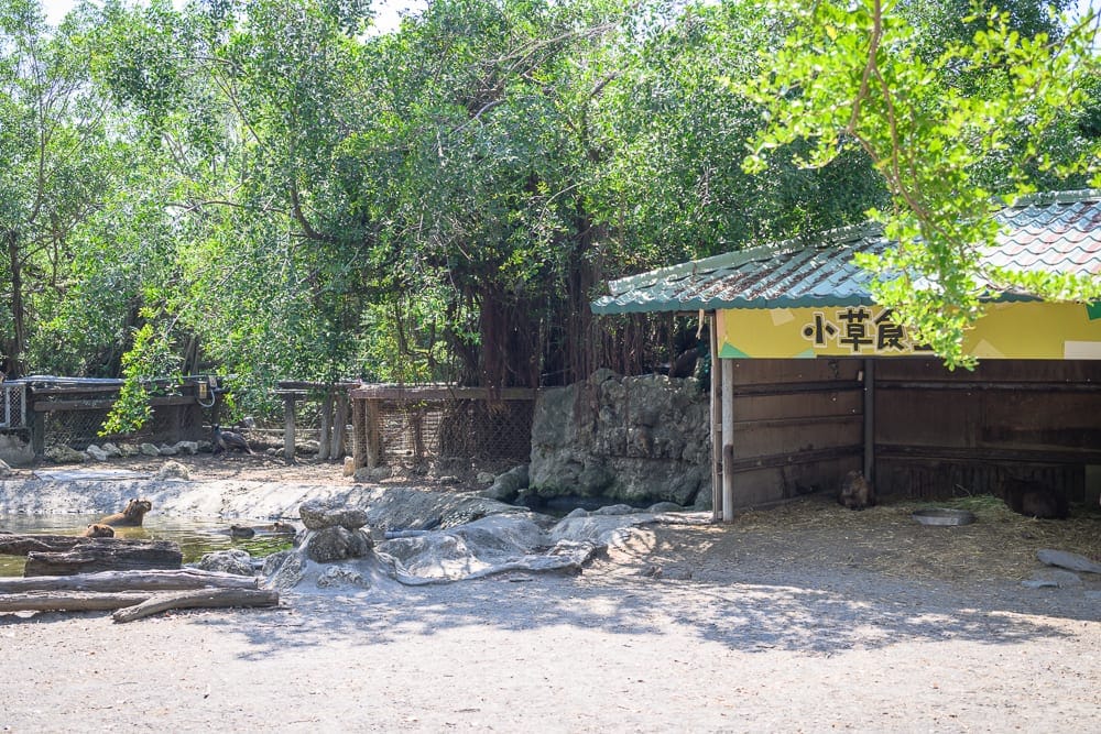 台南頑皮世界 遮蔭不足、餐飲與衛生設施實況