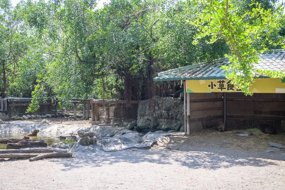 台南頑皮世界野生動物園完整攻略|動物餵食、水樂園與親子必玩設施 5 台南頑皮世界 遮蔭不足、餐飲與衛生設施實況