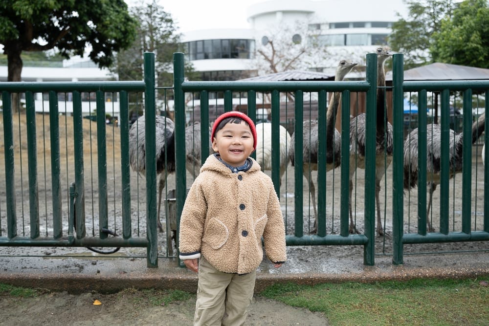 南投九九峰動物樂園完整攻略|鸚鵡互動與牧場動物玩法解析 6 南投九九峰動物園 親子玩法建議與容易踩雷的細節