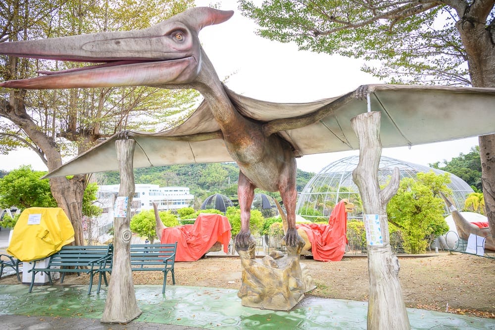 南投九九峰動物樂園完整攻略|鸚鵡互動與牧場動物玩法解析 3 南投九九峰動物園 翼龍雕塑、步道動線與景觀植栽