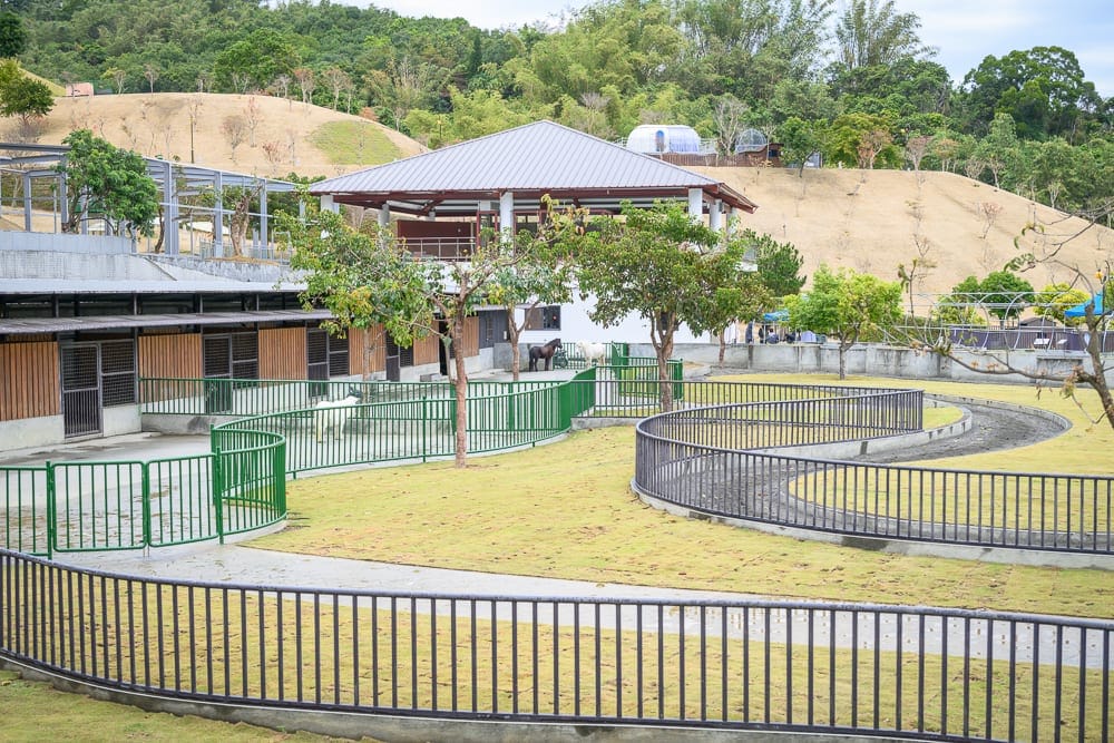 南投九九峰動物樂園完整攻略|鸚鵡互動與牧場動物玩法解析 9 南投九九峰動物園|草地、柵欄、馬廄、山坡、樹木、建築。戶外牧場景觀,S形圍欄區隔草皮通道與動物欄舍,遠方為起伏的黃土山