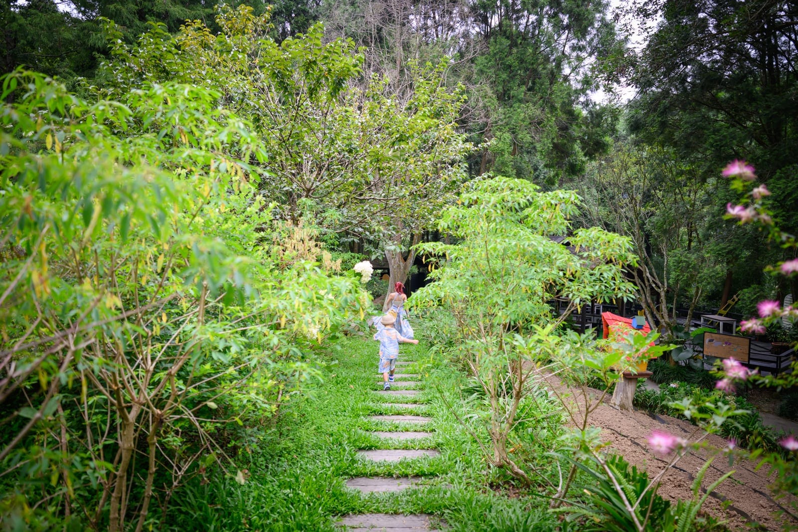 台中薰衣草森林住宿及園區｜石塊步道、綠草地、灌木叢、樹林、孩童背影、大人背影、森林。兩人沿著草地中央的石板小徑向前奔跑，兩側夾