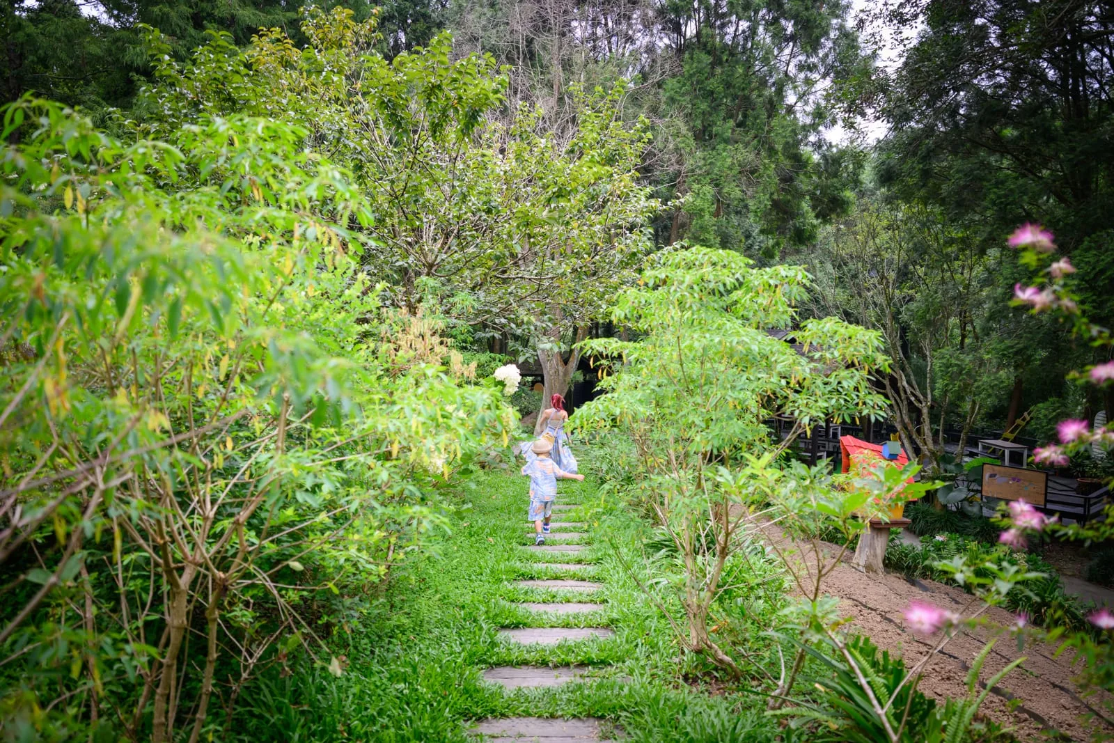 台中薰衣草森林住宿及園區｜石塊步道、綠草地、灌木叢、樹林、孩童背影、大人背影、森林。兩人沿著草地中央的石板小徑向前奔跑，兩側夾