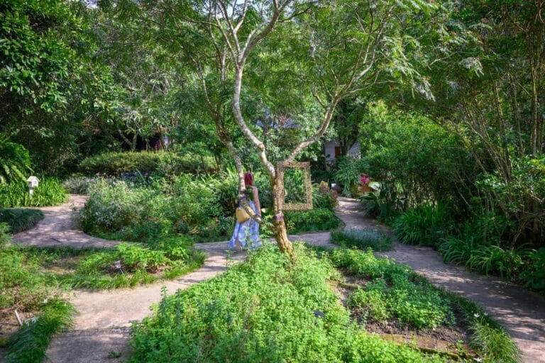 台中薰衣草森林住宿及園區｜綠樹、花園、小徑、女子、畫框，女子背對鏡頭穿藍白長裙站在岔路口，樹幹上掛著空相框，周圍茂密綠植與泥土