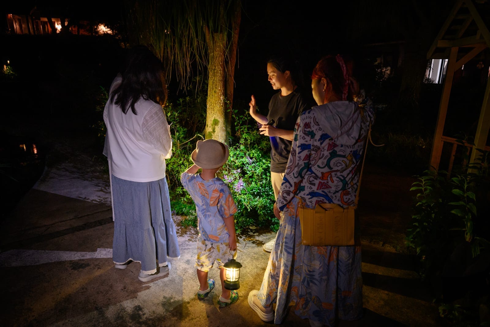 台中薰衣草森林住宿及園區 香草House房型、夜間導覽與螢火蟲