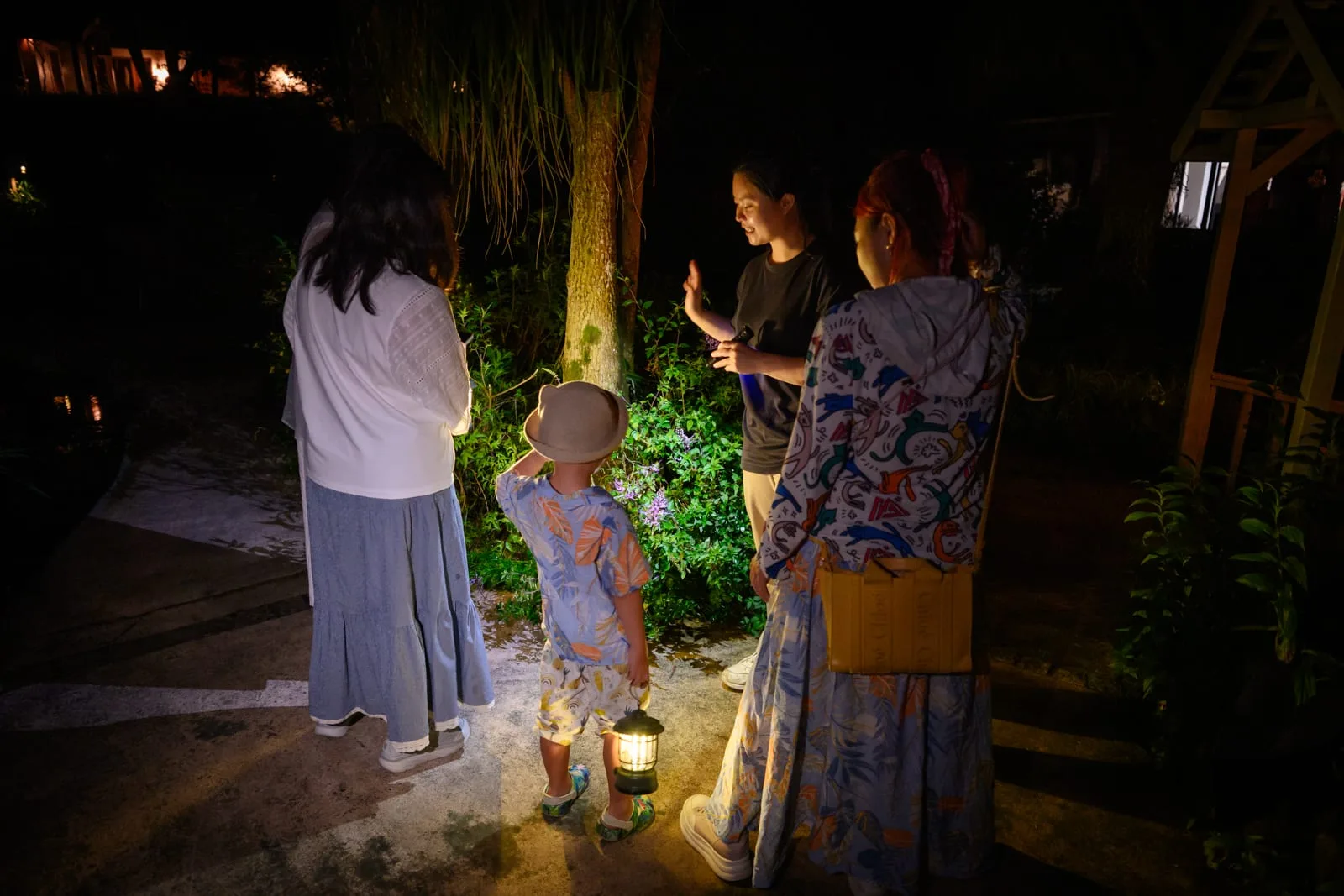 台中薰衣草森林住宿及園區 香草House房型、夜間導覽與螢火蟲