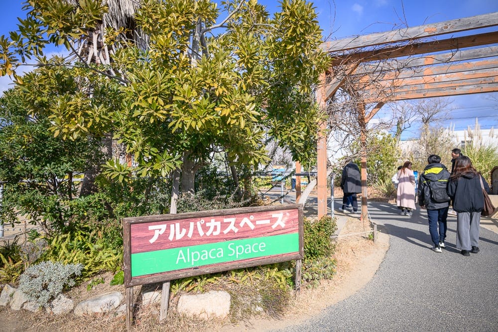 日本神戶-神戶動物王國｜戶外園區、綠樹、日英文指示牌、木製棚架、瀝青步道、散步遊客、藍天。