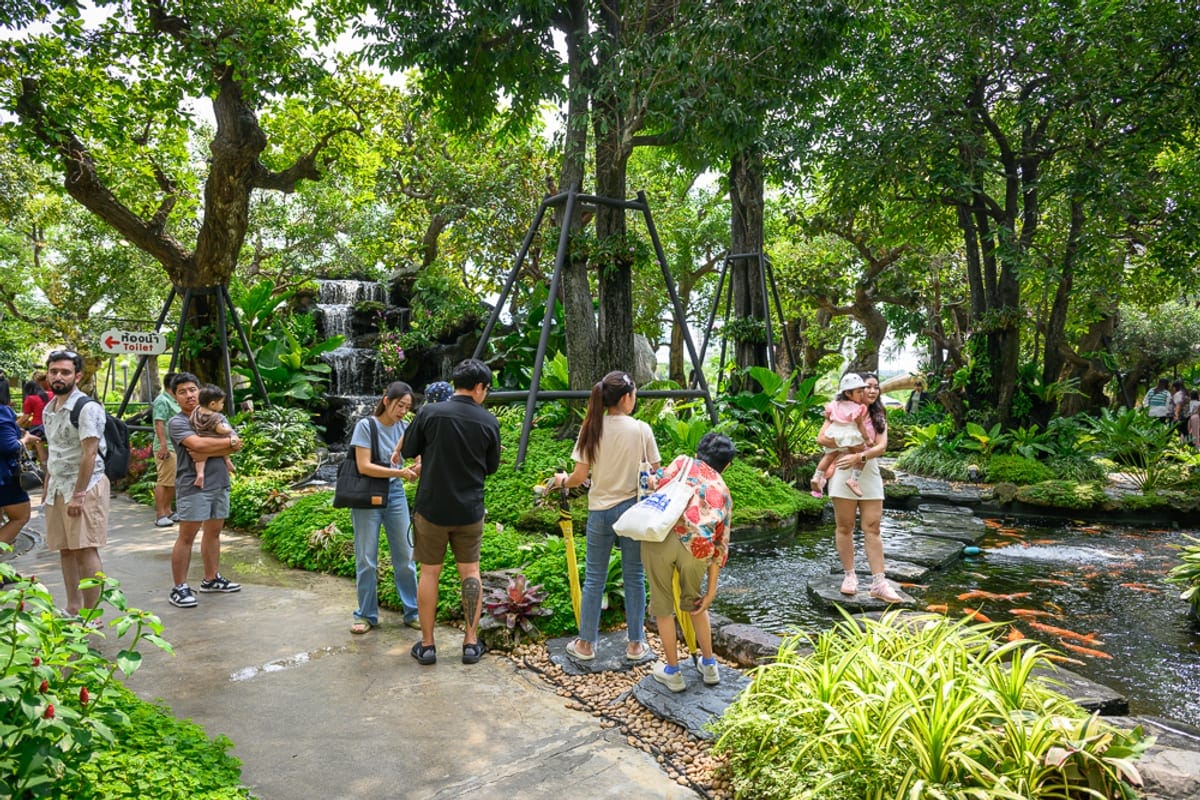 泰國芭達雅 Pa Boon Café 5 親子景點完整指南|動物餵食與園林造景玩法解析 1 泰國芭達雅Paboon cafe|綠意盎然的戶外園林,遊客,高大綠樹,人工造景瀑布,錦鯉池,石板步道,木棧道。