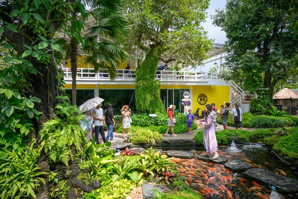泰國芭達雅 Pa Boon Café 5 親子景點完整指南|動物餵食與園林造景玩法解析 9 泰國芭達雅Paboon cafe|戶外庭園,黃色建築,錦鯉池,石板步道,綠樹,蕨類植物,多名遊客。池中群聚橘紅色錦鯉,遊客散步觀賞,建