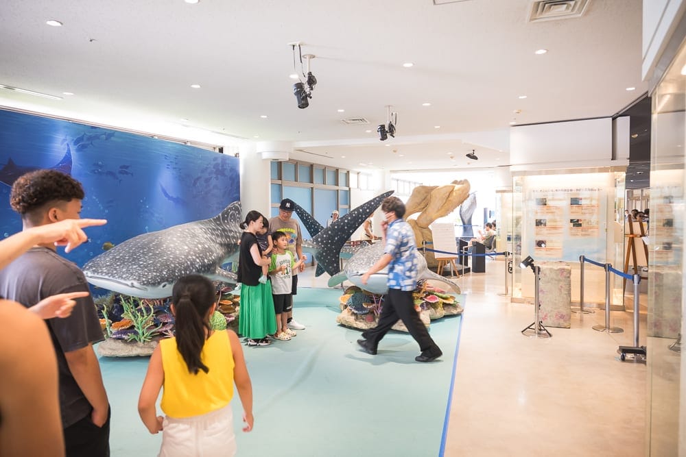 沖繩本部美麗海水族館完整攻略|巨型展缸、海豚池與親子戶外設施玩法解析 11 沖繩本部美麗海水族館|室內、展覽、鯨鯊模型、遊客、看板。明亮燈光下的大型展場,擺放多座擬真鯨鯊模型與海洋壁畫,數名大人小孩