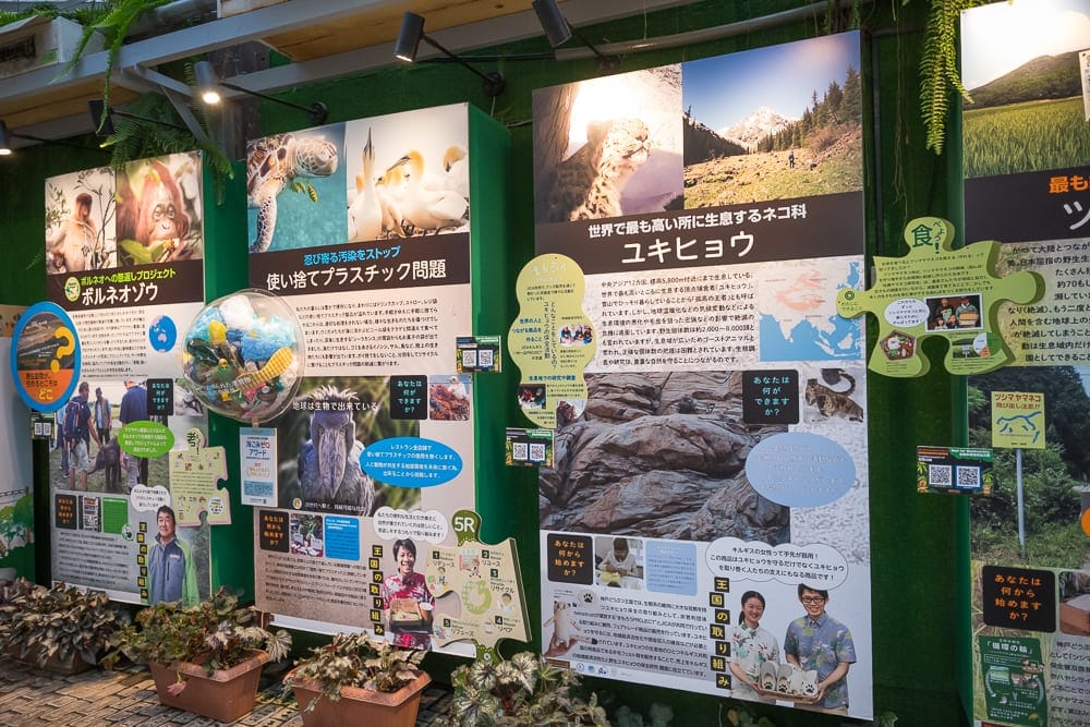 日本神戶-神戶動物王國｜展板，看板，海報，綠牆，盆栽，射燈，文字，照片，動物圖像