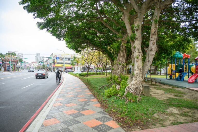 桃園文化兒童駕駛訓練公園完整指南|紅綠燈車道與遊樂設施玩法解析 9 桃園文化兒童駕駛公園|街道、人行道、大樹、公園、車輛、遊樂設施。灰色馬路旁鋪設橘黑相間的地磚人行道,粗壯樹木枝葉繁茂遮蔽上