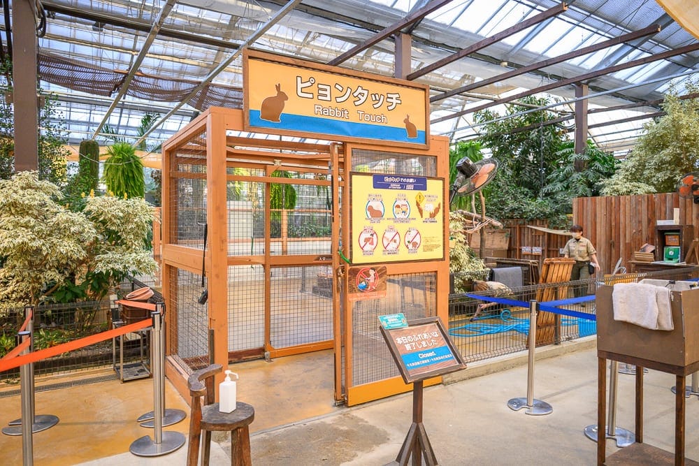 日本神戶-神戶動物王國｜室內，溫室，木柵欄，籠舍，標示牌，植栽，工作人員，排隊動線。金屬支架頂棚透光，地面鋪設水泥，周圍擺放