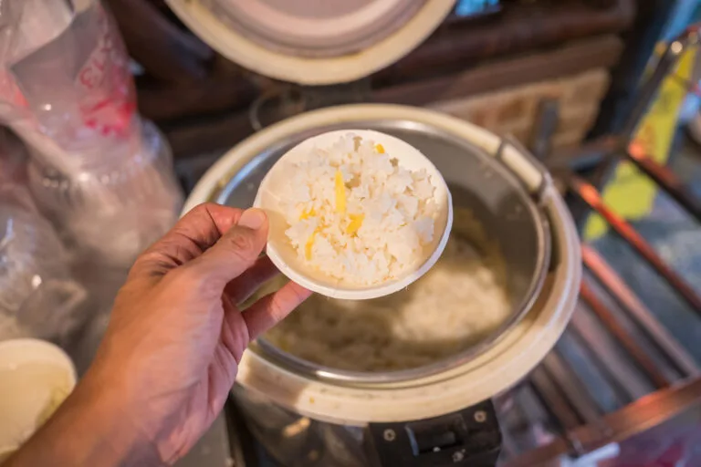 屏東水月軒鮮蝦美食館|我們去過才知道,中式紅燈籠老宅裡吃熱炒,戶外木橋景比菜還好拍 6 屏東水月軒鮮蝦美食館|我們去過才知道,中式紅燈籠老宅裡吃熱炒,戶外木橋景比菜還好拍