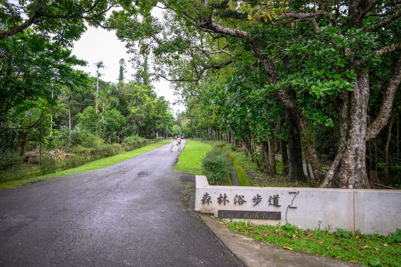 屏東墾丁國家森林遊樂區｜柏油路、森林浴步道招牌、大樹、草皮、行人。寬闊的林間道路延伸向遠方，右側矮牆刻有中英文指示牌，兩旁綠