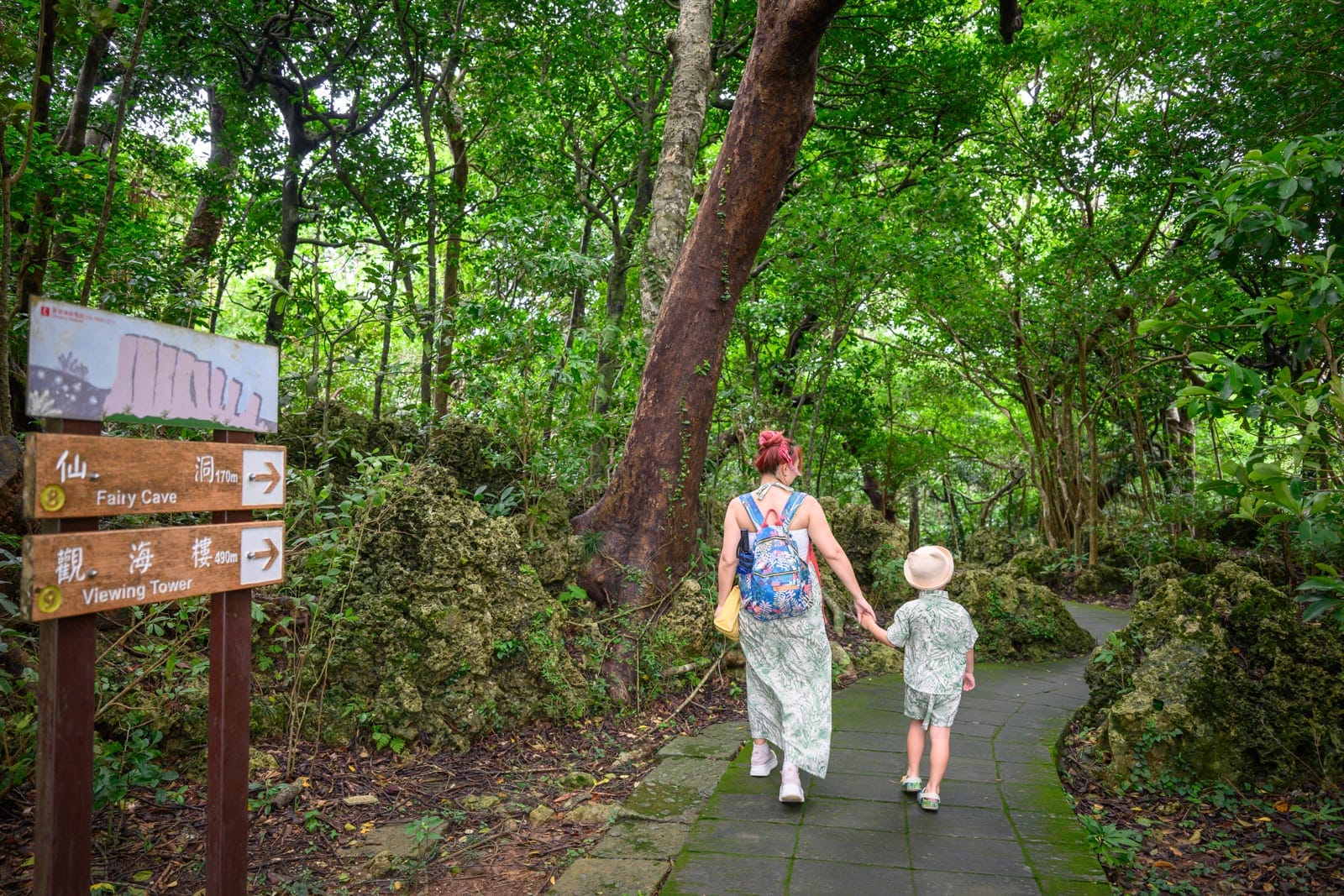 屏東墾丁國家森林遊樂區 地質探險路線完整走法與垂榕谷森林步道