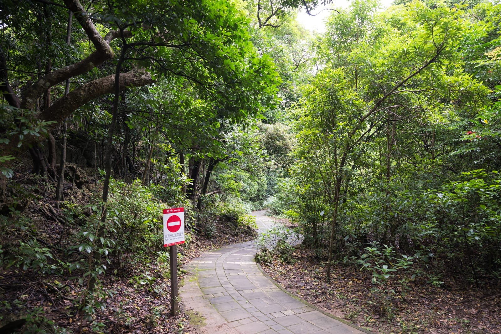 屏東墾丁國家森林遊樂區｜鋪石小徑、樹木、禁止進入告示牌、樹林。蜿蜒的石板路穿梭於茂密綠樹與灌木叢間，左側路旁立著一面紅底白線