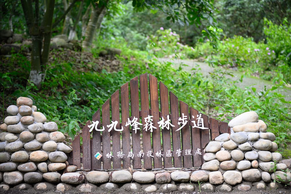南投九九峰步道 空拍視角下的山谷與芒草山頭