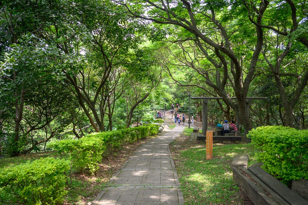 桃園奧爾森林學堂完整指南|樹屋木棧道與兒童遊樂設施玩法解析 5 桃園奧爾森林學堂 孔廟、經國梅園一帶