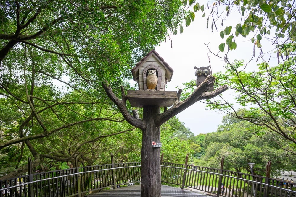 桃園奧爾森林學堂完整指南|樹屋木棧道與兒童遊樂設施玩法解析 12 桃園奧爾森林學堂|貓頭鷹雕像、鳥屋、樹木、樹幹造型柱子、護欄、戶外步道、樹林,茂密枝葉交錯覆蓋天空,木質扶手圍繞平台。