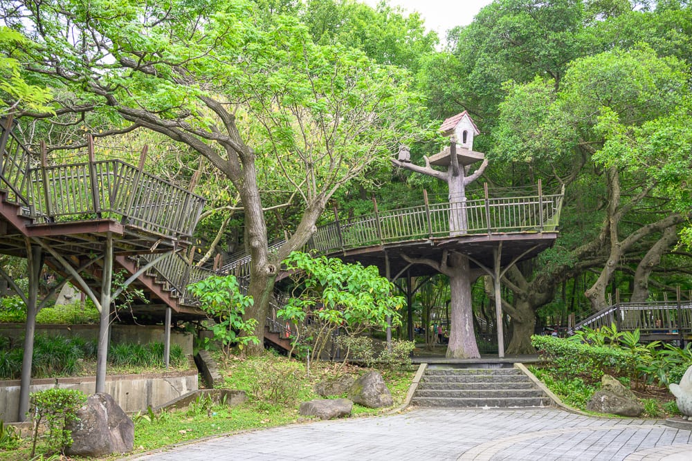 桃園奧爾森林學堂完整指南|樹屋木棧道與兒童遊樂設施玩法解析 4 桃園奧爾森林學堂 停車、人潮時段與園區現況