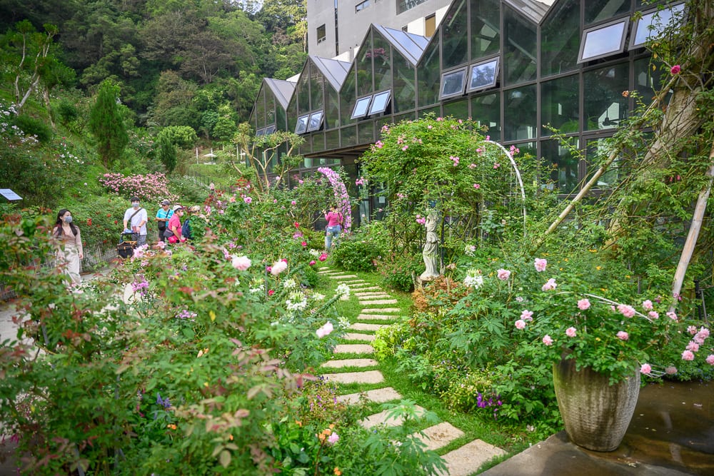 苗栗雅聞七里香玫瑰森林｜玻璃屋、玫瑰園、石板小徑、花盆、雕像、遊客、山坡樹林，灰白的天空下，人們散步於繁花夾道的綠意園區。