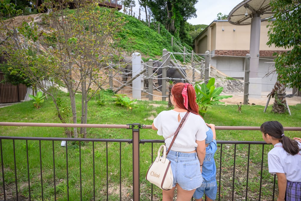 日本福岡-福岡市動植物園 行前重點與現場環境