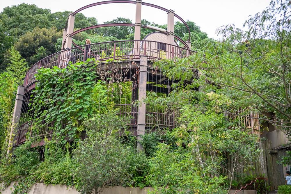 日本福岡-福岡市動植物園｜圓形瞭望台、鋼構建築、鐵欄杆、攀爬植物、綠樹、山坡，多層結構的建築物外觀被大量藤蔓與枝葉覆蓋，周圍環