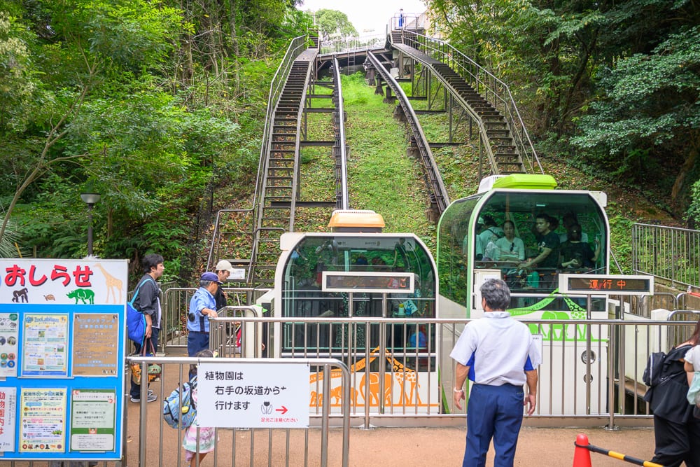 日本福岡-福岡市動植物園 纜車搭乘與圓形觀景台