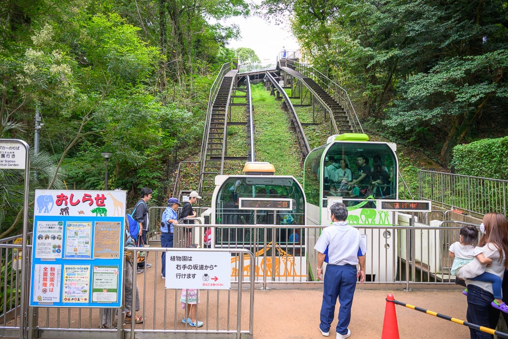 日本福岡-福岡市動植物園｜斜坡道、雙軌纜車、月台、告示牌、綠樹、遊客，纜車站月台停靠雙軌列車，乘客排隊登車，軌道沿陡峭山坡向上