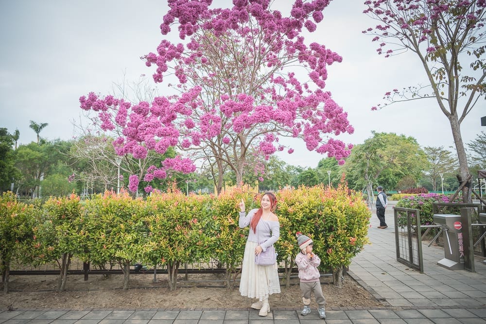 台南水道博物館｜婦人與小孩，粉紅花樹，綠叢灌木，石磚步道，公園。天空泛白無雲，女子微笑舉手指向頭頂花球，身旁幼童低頭