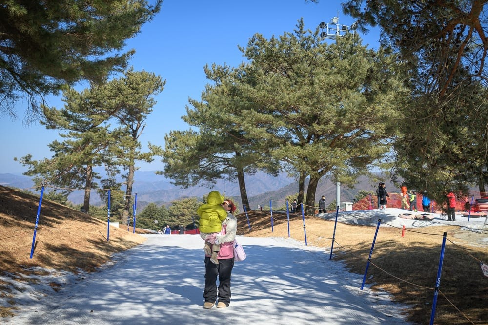 韓國首爾維瓦爾地渡假村冰雪王國｜戶外、雪地、道路、松樹、成人、幼童，大人抱著穿著黃色外套的小孩站在白雪覆蓋的山區小徑上，兩旁立有藍色