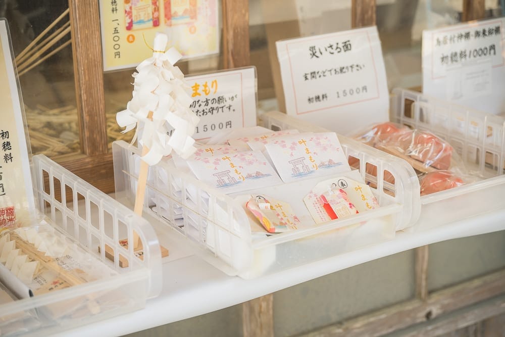 日本福岡-櫻井神社 石板路、石燈籠與高聳針葉林道