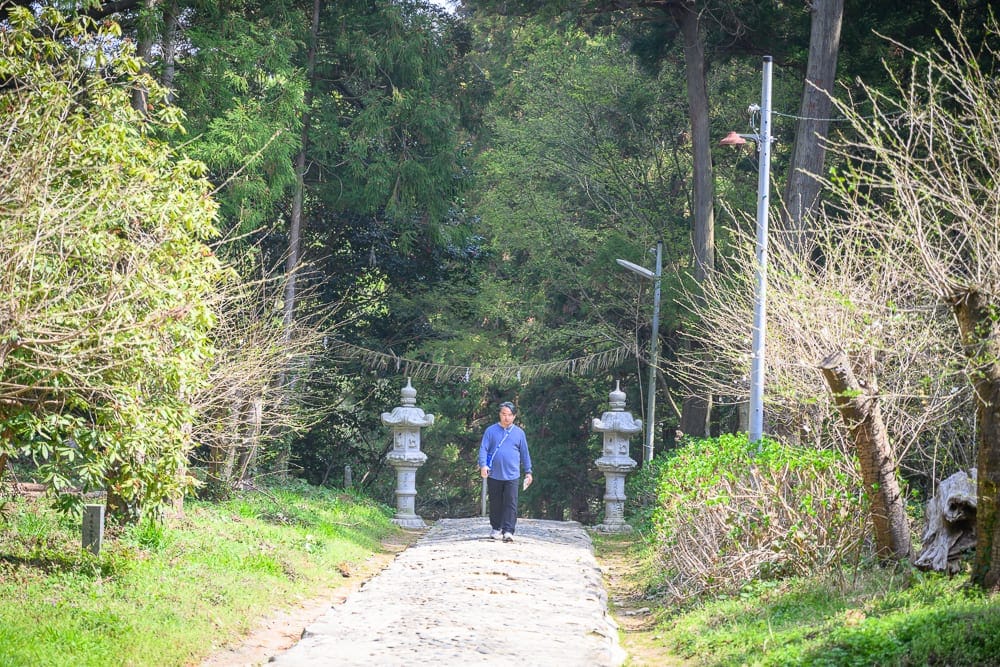 日本福岡-櫻井神社 1632年創建的岩戸神窟與木造社殿