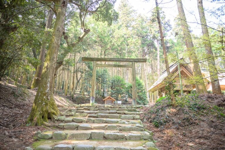 日本福岡-櫻井神社｜石階、木造鳥居、神社、高聳樹木、森林，粗糙的石塊路面向上延伸，一座木造鳥居立於階梯上方，兩側與背景為