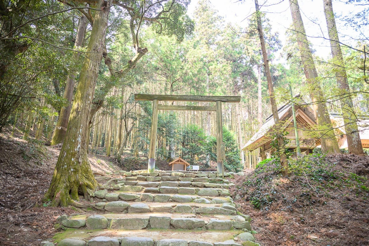 日本福岡-櫻井神社｜石階、木造鳥居、神社、高聳樹木、森林，粗糙的石塊路面向上延伸，一座木造鳥居立於階梯上方，兩側與背景為