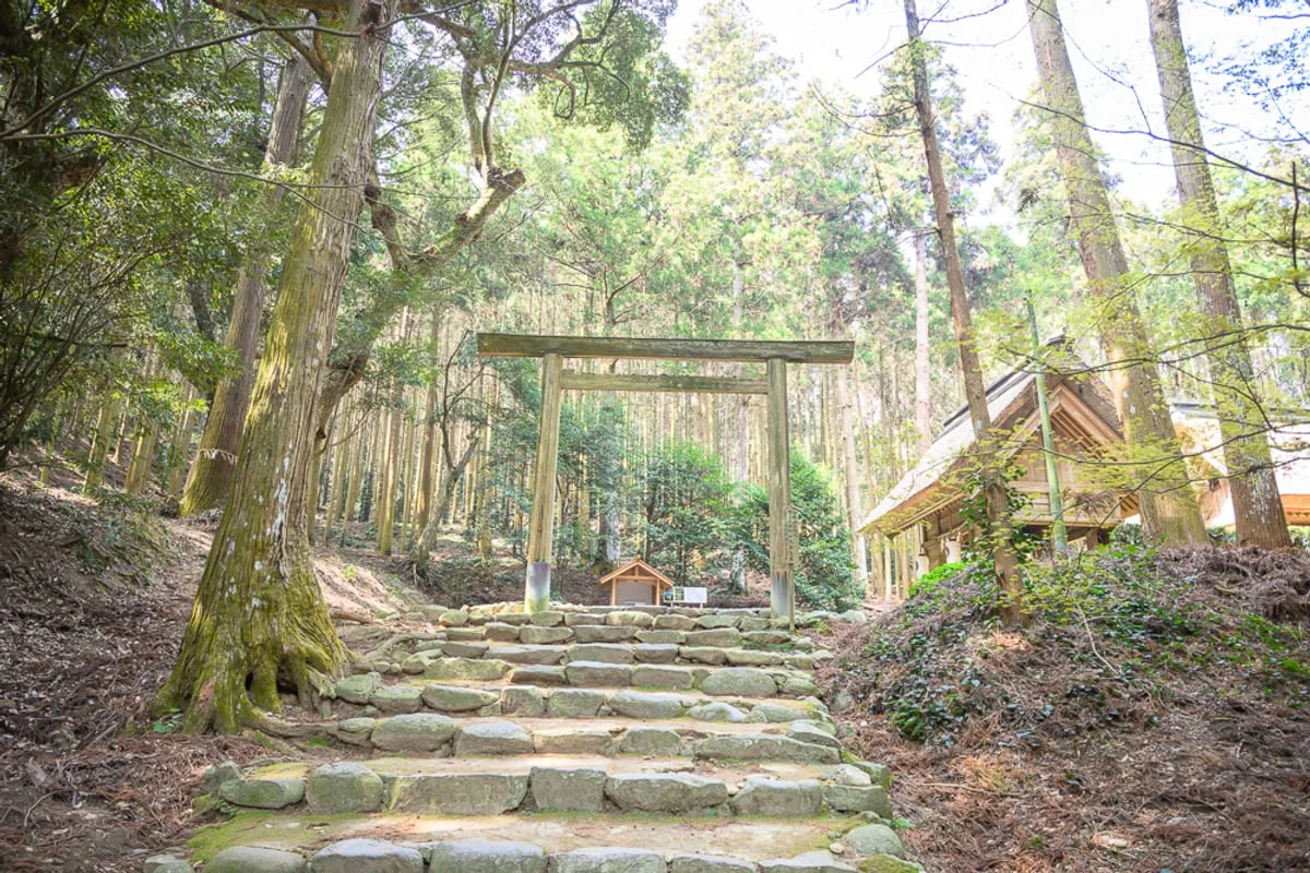日本福岡-櫻井神社完整攻略|森林參道與御朱印造訪指南 1 日本福岡-櫻井神社|石階、木造鳥居、神社、高聳樹木、森林,粗糙的石塊路面向上延伸,一座木造鳥居立於階梯上方,兩側與背景為