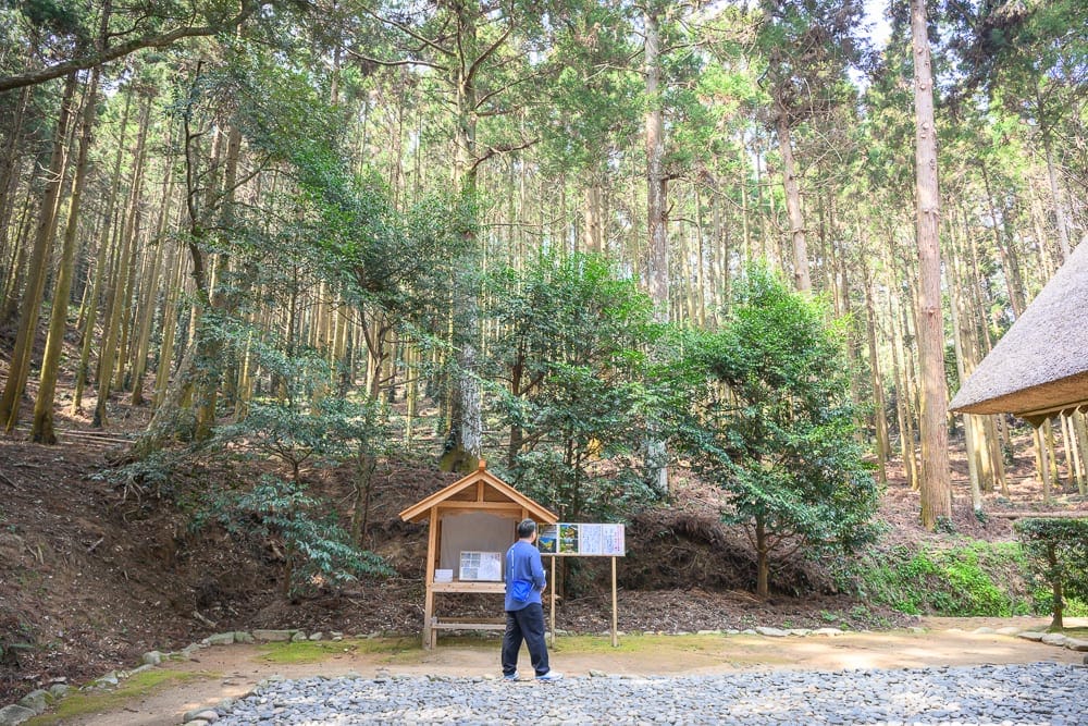 日本福岡-櫻井神社｜森林、男子、告示牌、木造屋簷、高聳針葉樹、碎石地，一名穿藍衣黑褲的男子站在告示牌前閱讀，背景為密集的