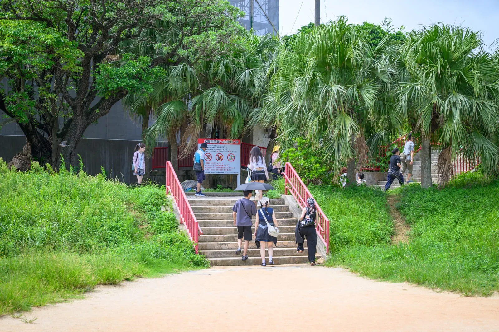 日本沖繩波上宮陸橋拍攝點與波之上海灘｜階梯、草地、棕櫚樹、告示牌、行人，多位遊客正步行爬上戶外石階，周圍被綠意盎然的樹木與草皮環繞。