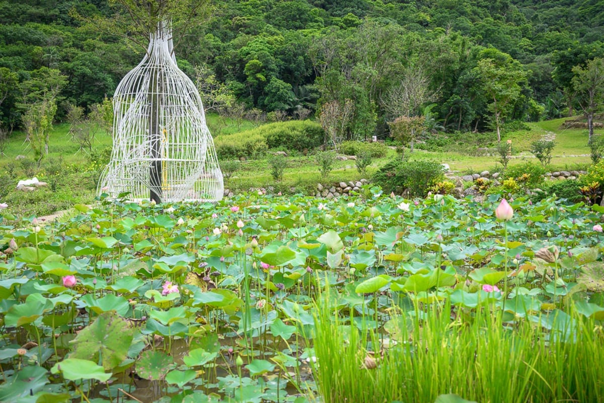 新北亮山川景觀休閒園區｜蓮花池、荷葉、白色金屬裝置藝術、草地、遠山樹林，池畔盛開粉紅花苞與寬大綠葉，背景為翠綠山坡與茂密森林
