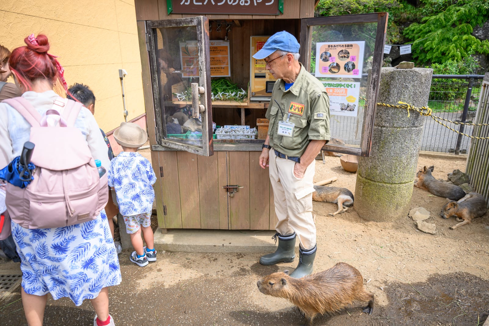 日本靜岡-伊豆仙人掌動物園｜飼育員站立於木製販賣亭旁，身穿綠衣、藍帽與長靴，亭內擺放綠色植物。遊客與孩童圍觀，地面有多隻水豚趴臥