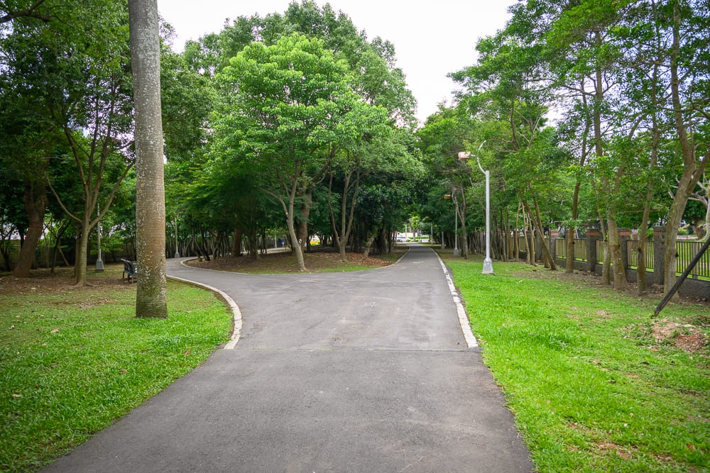新北林口樂活公園｜柏油路面、岔路、綠地、高大樹木、路燈、金屬欄杆，兩側林木茂密，草地平坦，微光天色。
